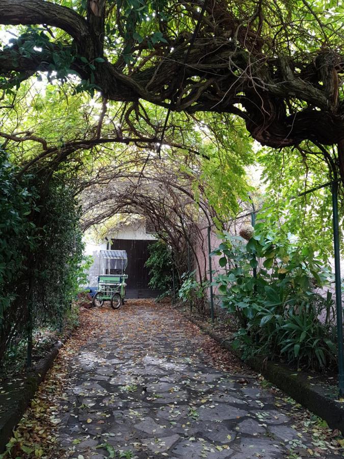 Ground Floor- Pet Friendly Stay-private Garden-parking-lake View - Bike Friendly House * Colico