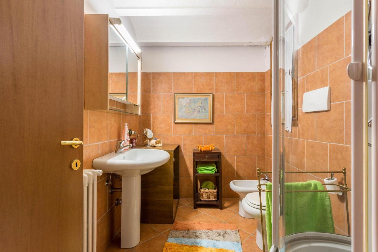 Apartment Color Flat In My *