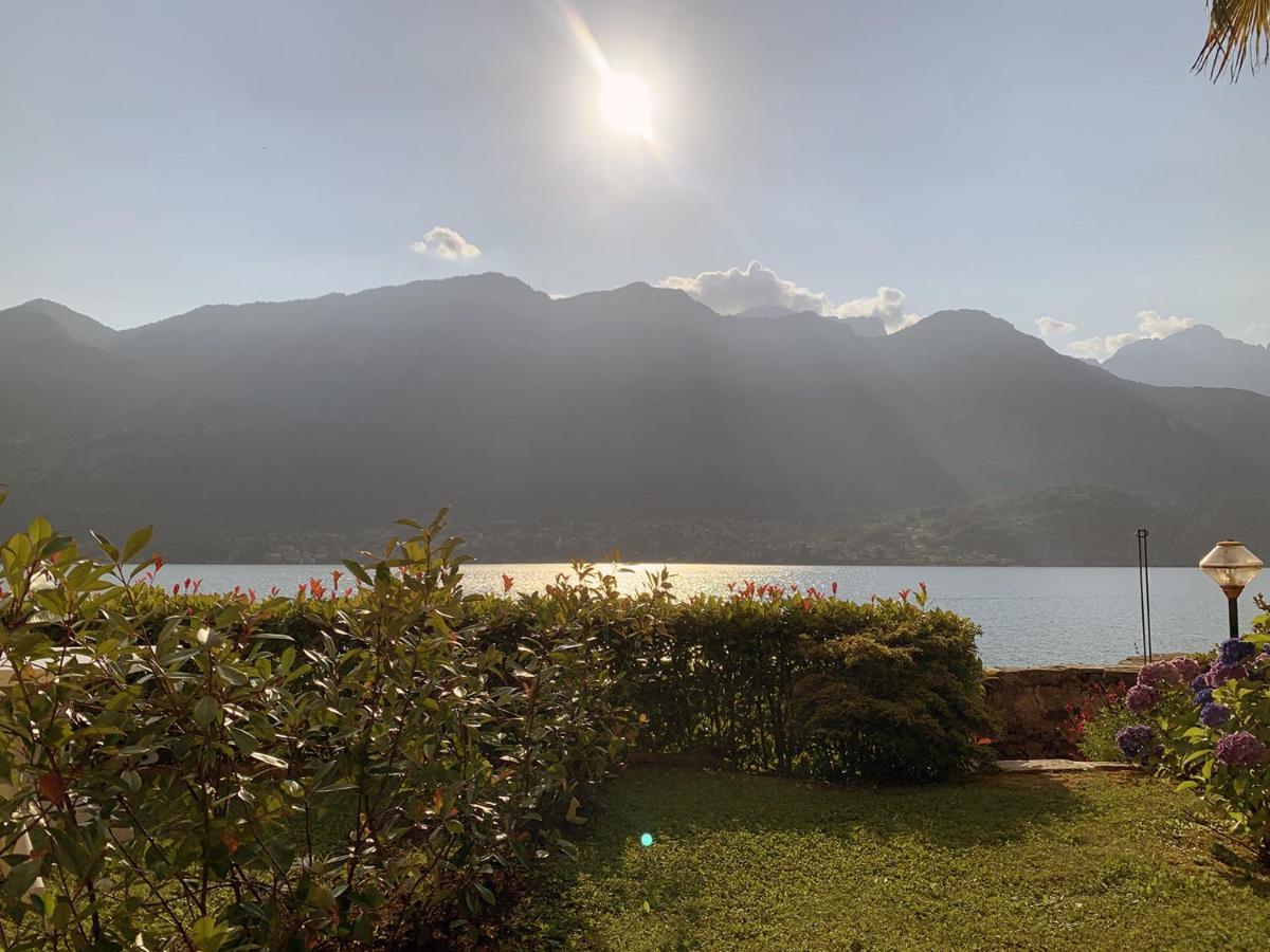 Terrace On The Lake Apartment Oliveto Lario