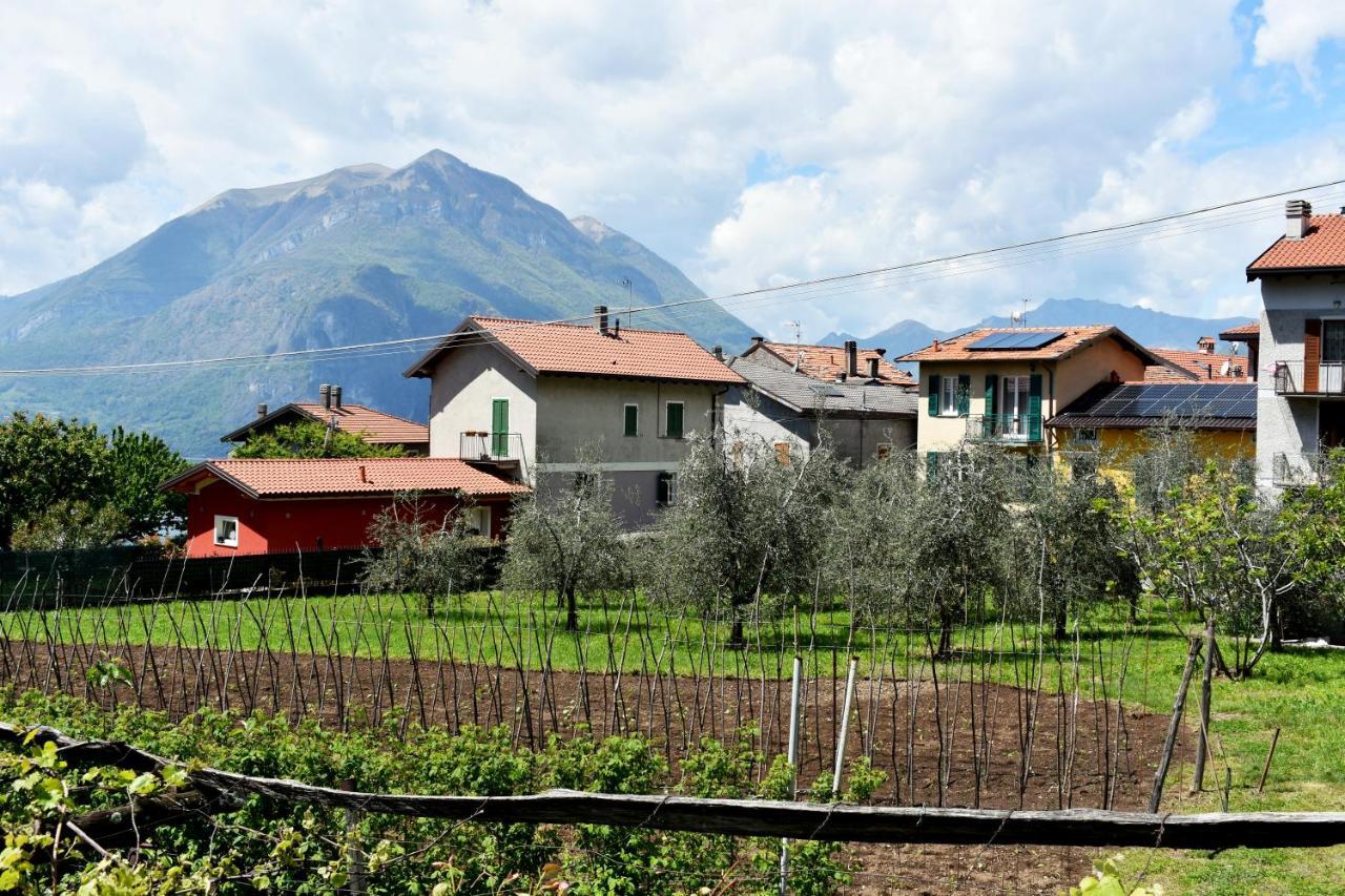 Conca Sandra - Farm On Perledo