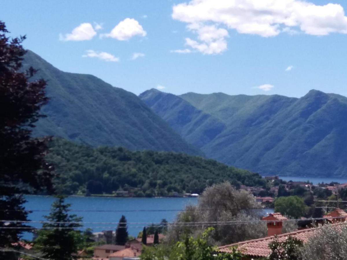 Apartment Belvedere Bolvedro