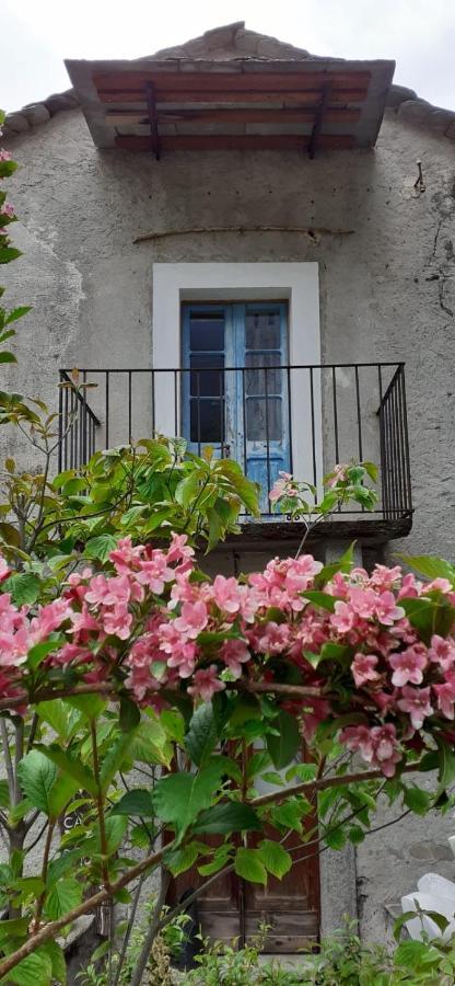 Holiday home Ca Betulla Novate Mezzola