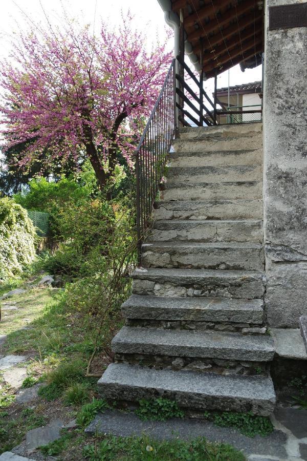 Holiday home Ca Betulla Novate Mezzola