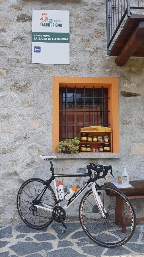 Farm stay Eleonora Argegno