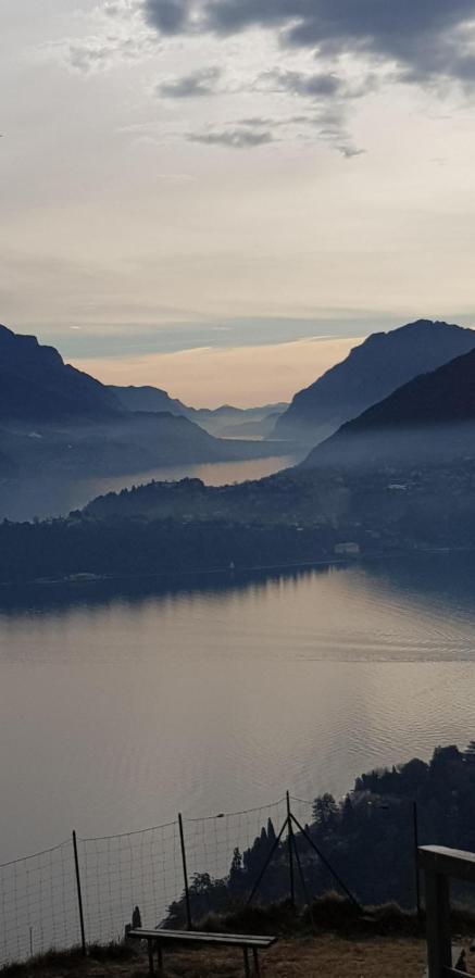 Apartment Ca Balossa, Tremezzina Di Davanti A Bellagio E Balbianello *