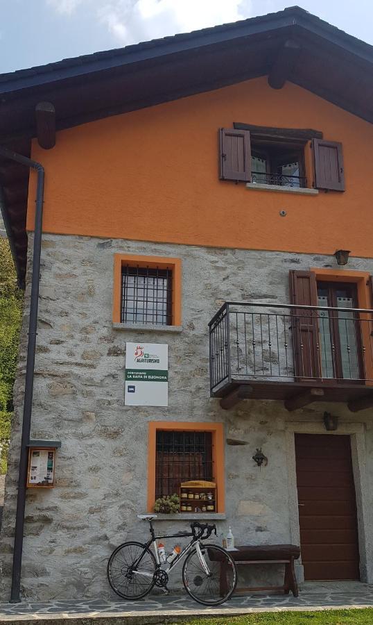 Eleonora Farm stay *