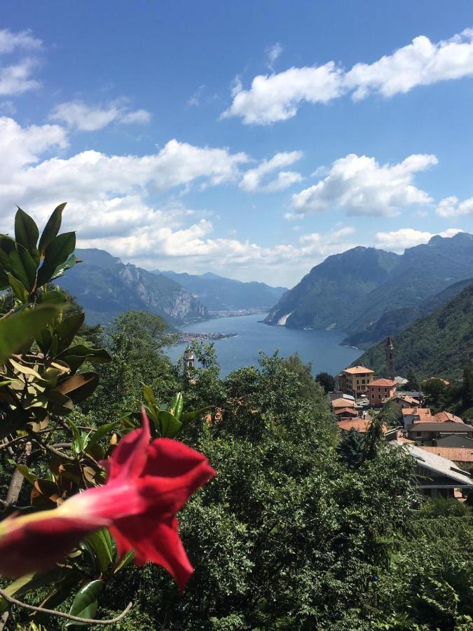 Holiday home Bellagio Bellavista Di Betty Civenna