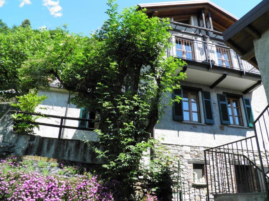Ferienhaus Rosato