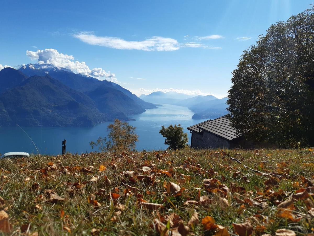 Apartment La Nicchia Comersee Vercana