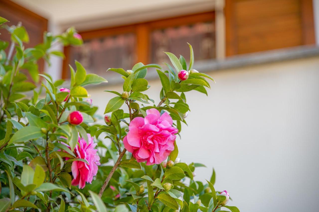 Easy Welcome Primula - Apartment *