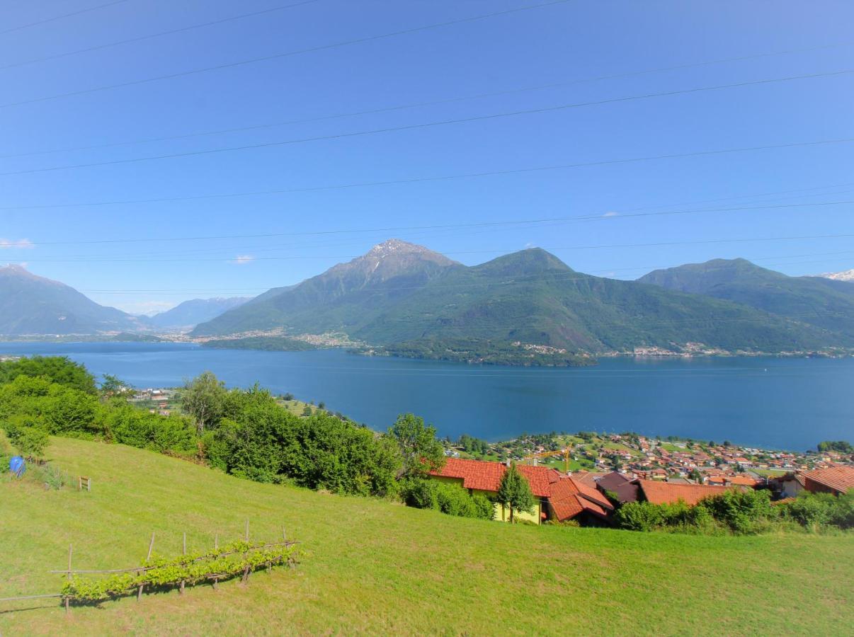 Apartment Residenza Castellum