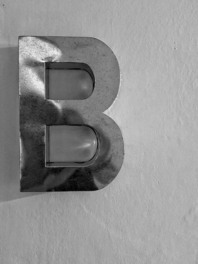 Picinque B *