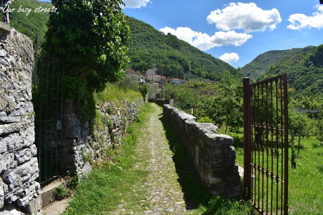 Conca Sandra - Farm On * Perledo