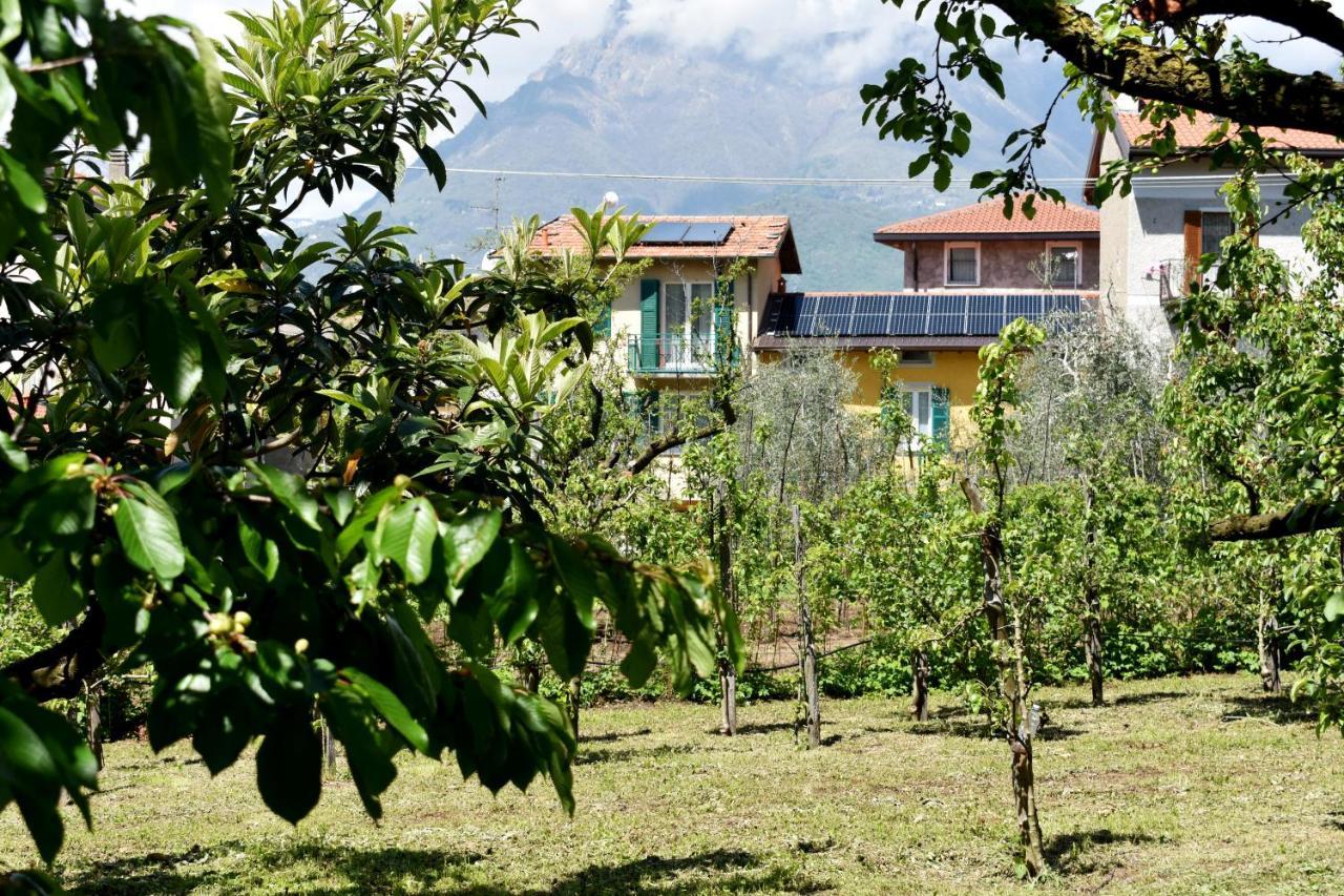 Conca Sandra - Farm On * Perledo