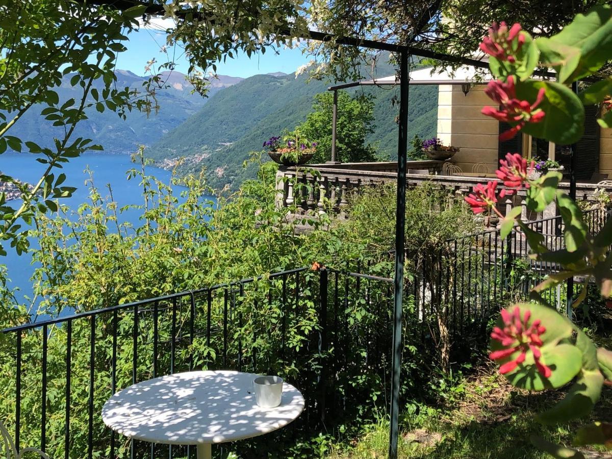 Le Ortensie Bed & Breakfast Faggeto Lario