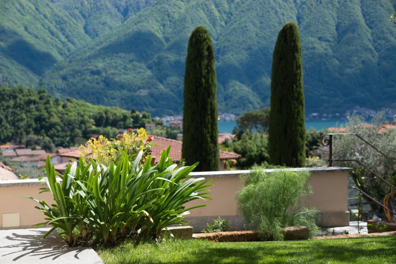 Mansarda I Cipressi