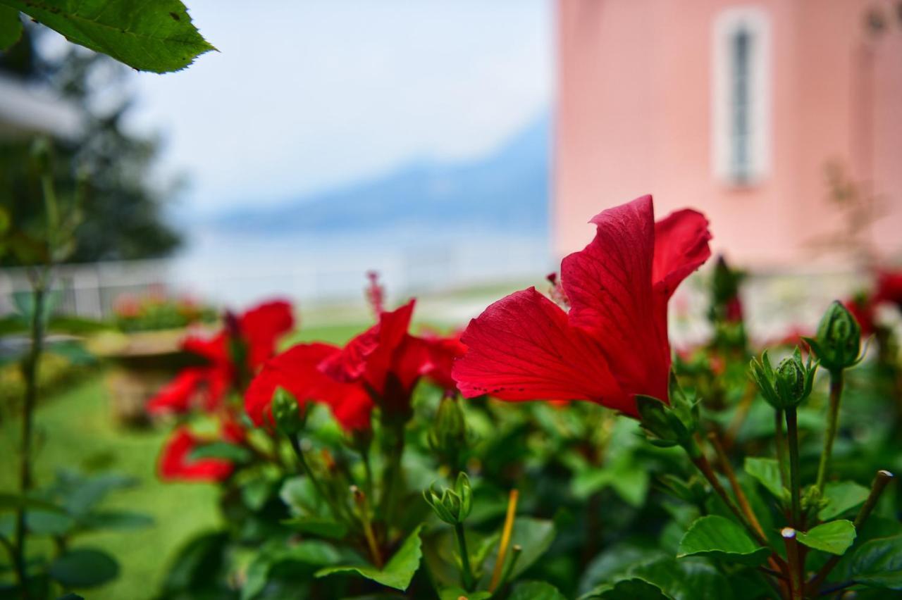 Villa Easy Welcome Perledina - Varenna