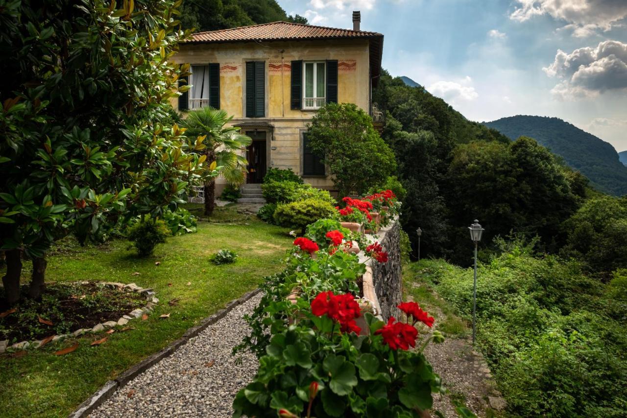 Le Ortensie Bed & Breakfast Faggeto Lario