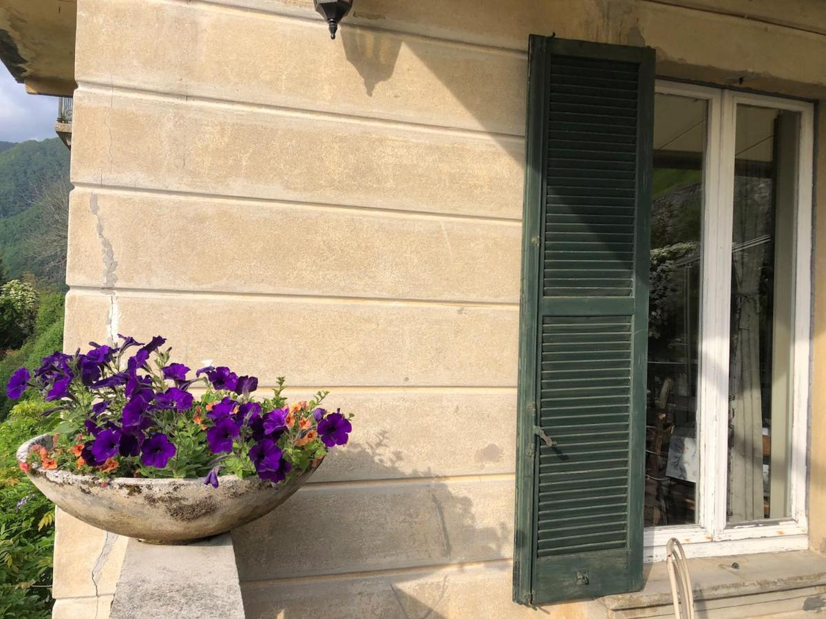 Bed & Breakfast Le Ortensie *