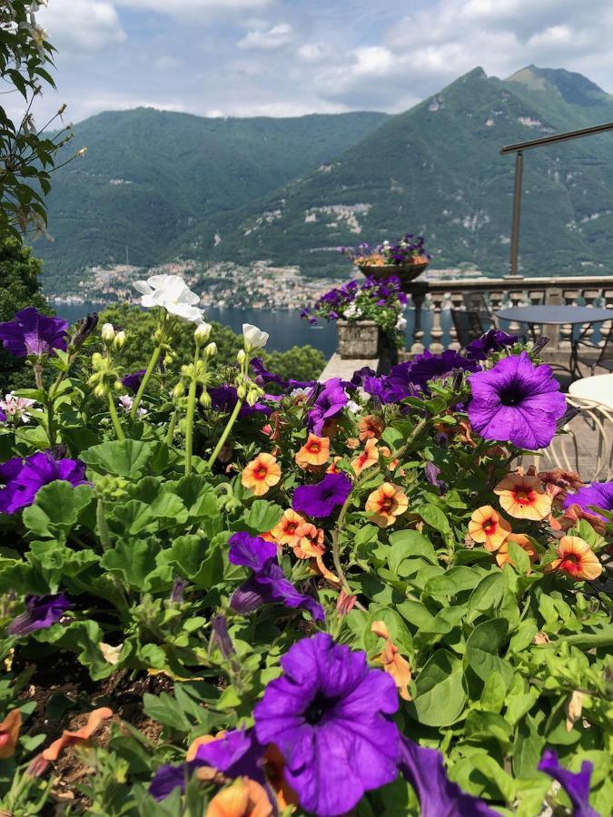 Bed & Breakfast Le Ortensie *