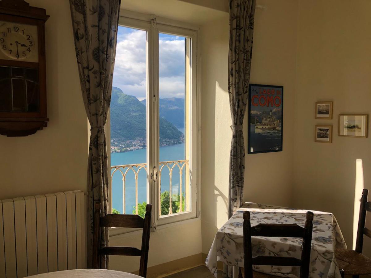 Le Ortensie Faggeto Lario