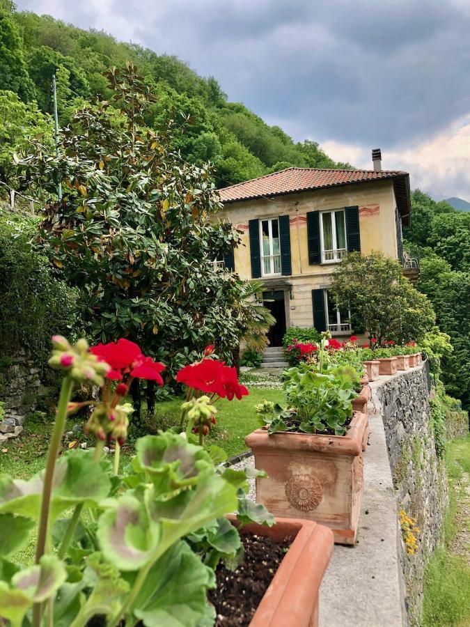 Le Ortensie Faggeto Lario