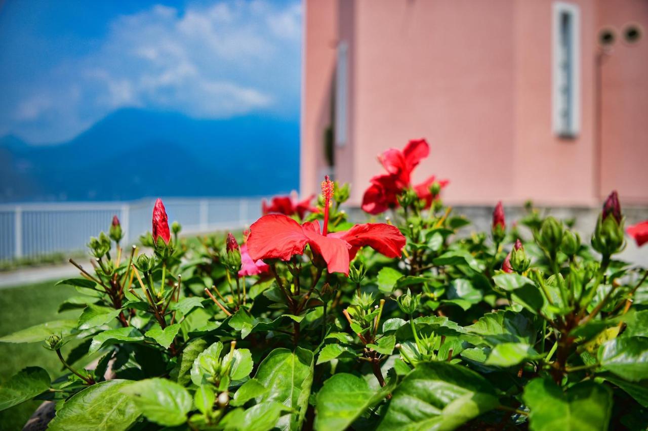 Easy Welcome Perledina - Varenna