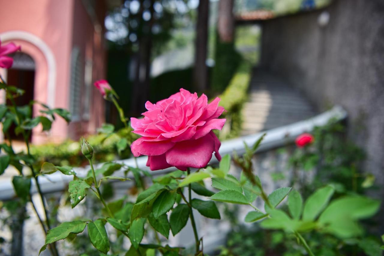 Easy Welcome Perledina - Varenna * Perledo