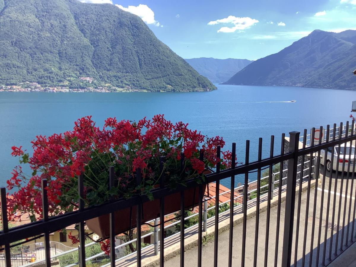 Panoramica Di *