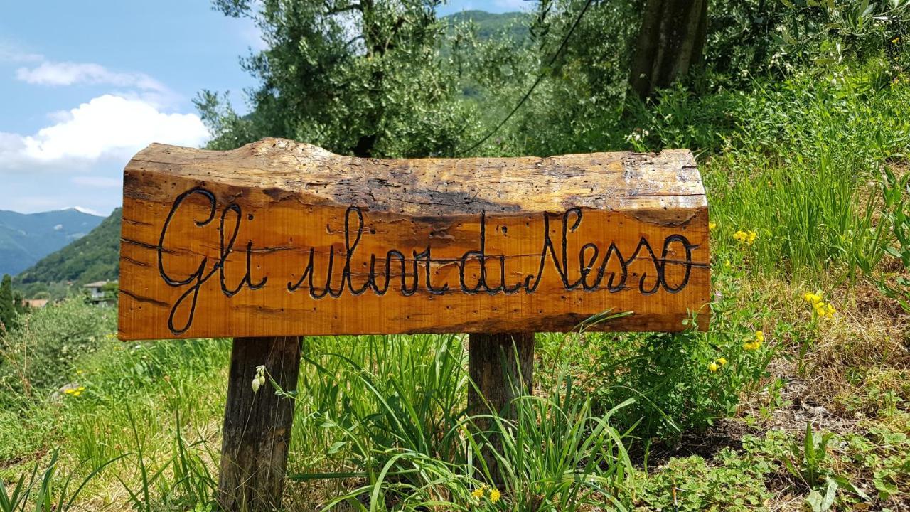 Gli Ulivi Di Nesso