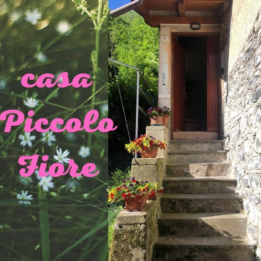 Casa Piccolo Fiore Lezzeno