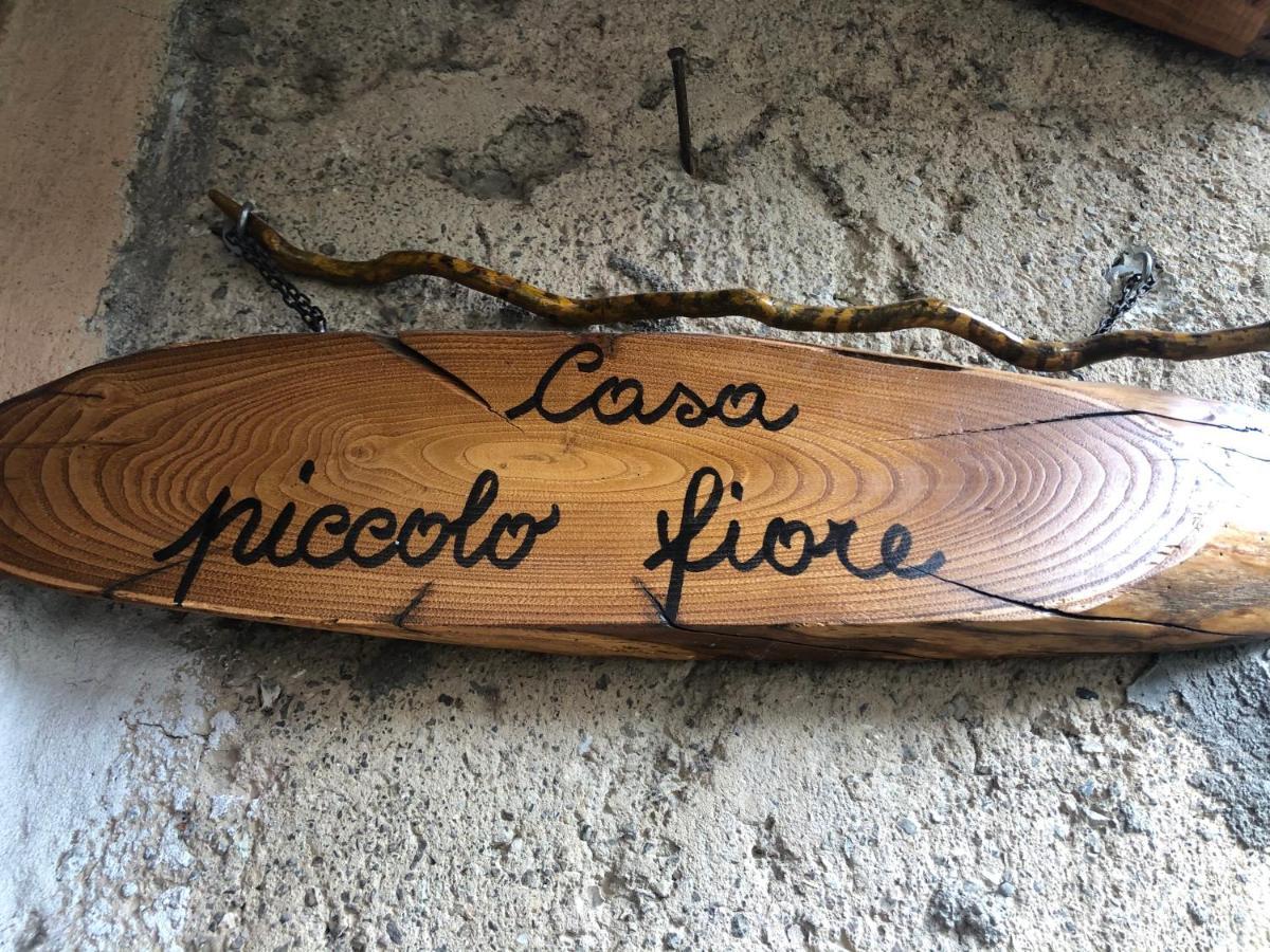 Casa Piccolo Fiore