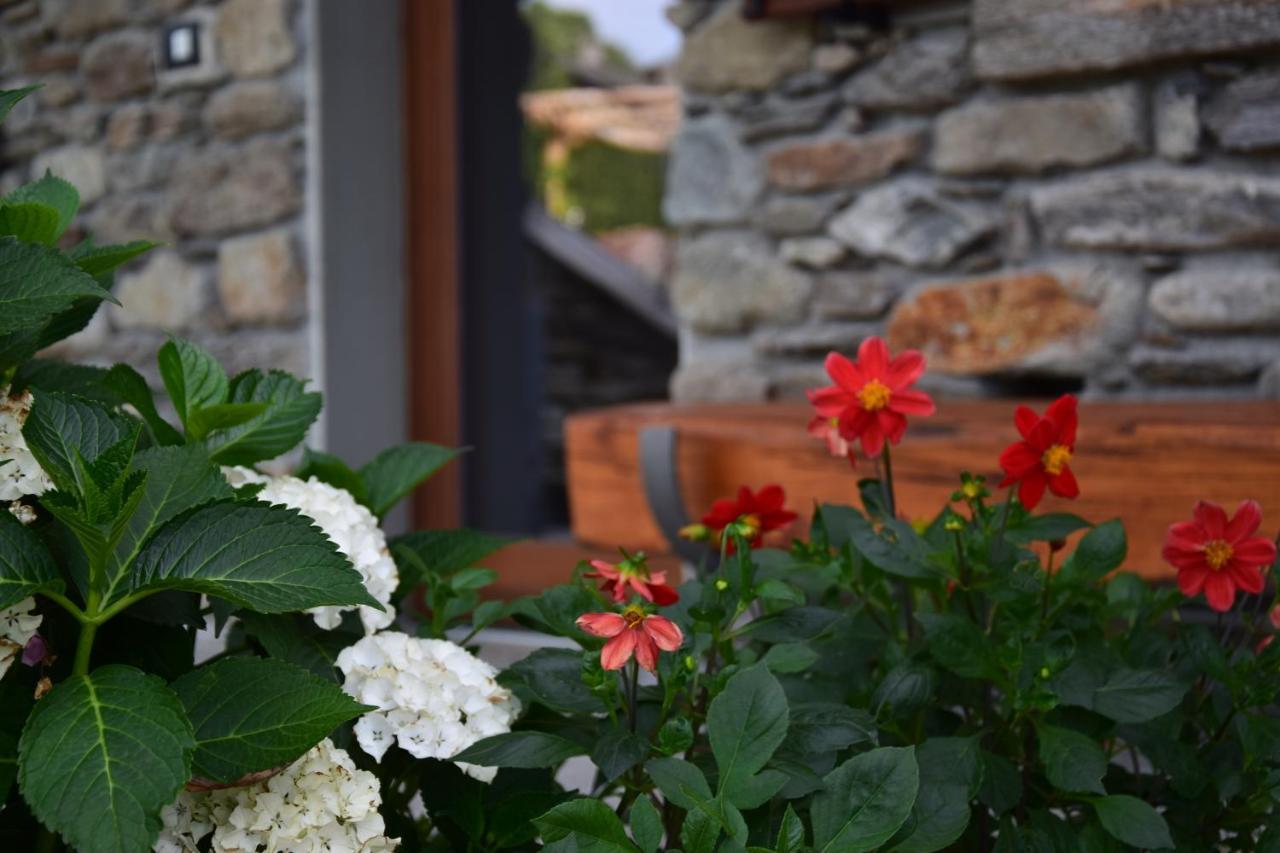 Holiday home La Volta - Ancient Molino Maufet Watermill On - Patio On The Garden *