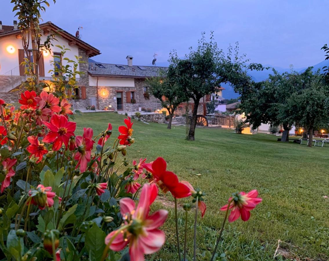 Holiday home Il Fienile - Ancient Molino Maufet Watermill - View Terrace *