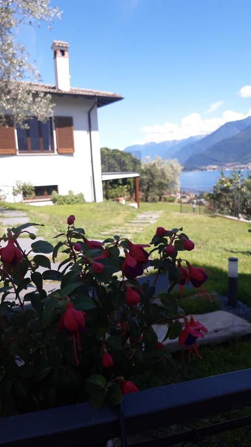 Apartment Ca' Del Barba *