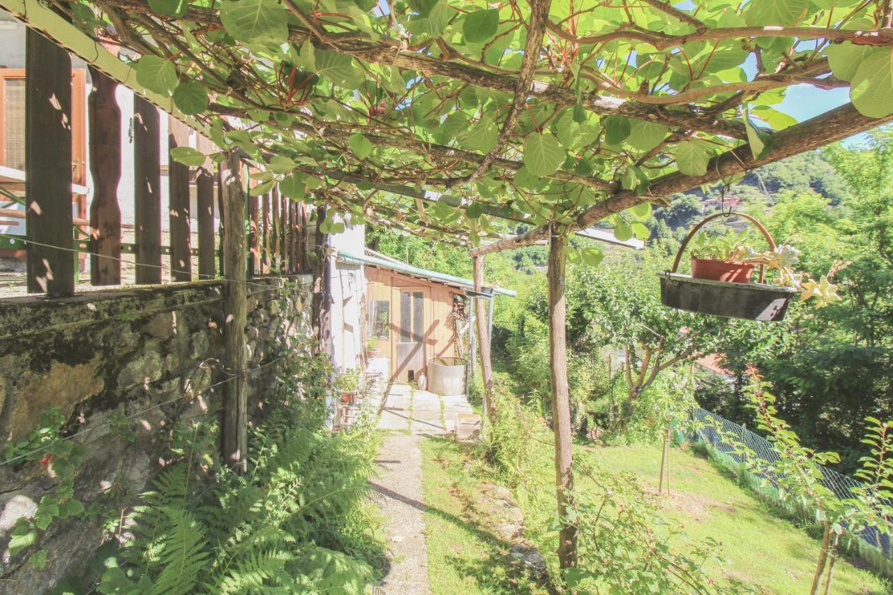Casa Ponaga Chalet Dongo