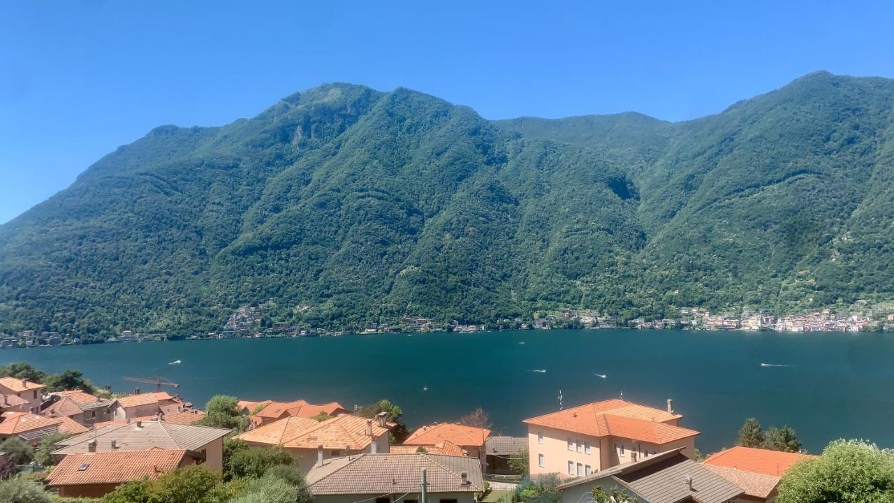 Reginaldo's Nesso