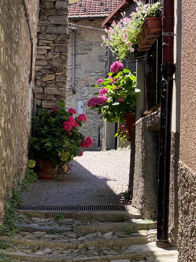 Apartment A Due Passi Dal