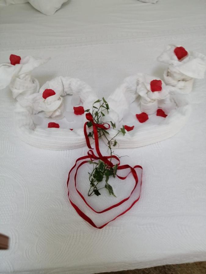 Il Gelsomino Di Holiday home *