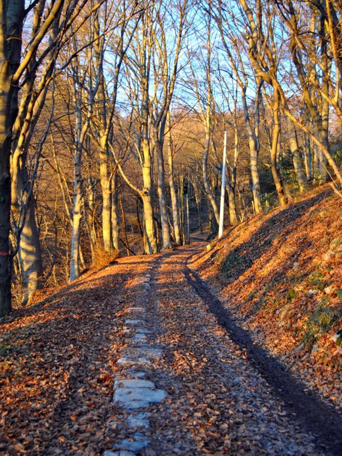 Il Poggio * Brunate