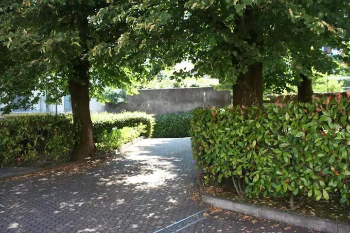 Il Gelsomino Di Holiday home Ossuccio