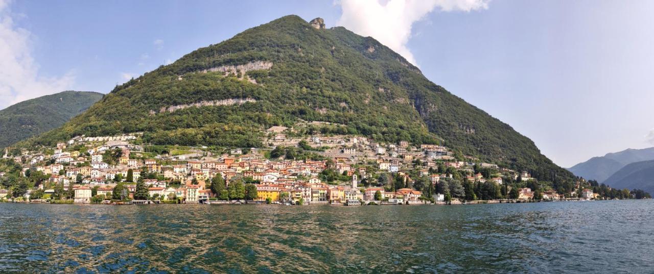 Lacasetta _ Lakeview Terrace Renovated *