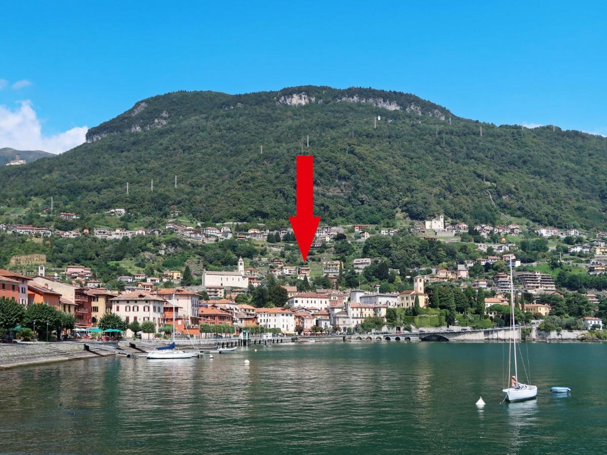 Locazione Turistica Viola-2