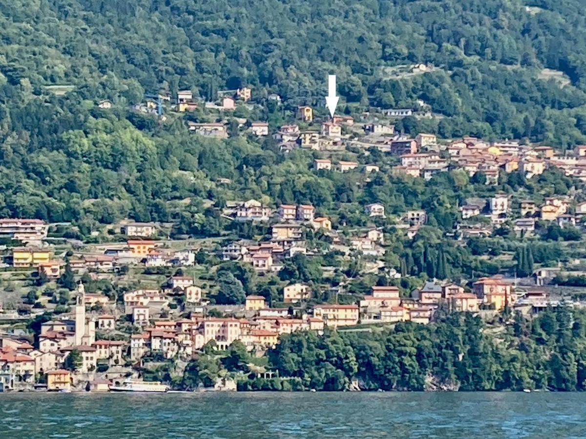 Panorama 1 Main Floor * Nesso