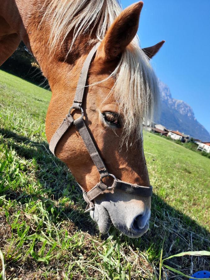 La Casetta Di Biancaneve Valtellina E Di Holiday home