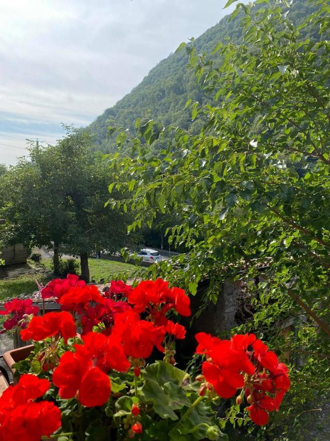 Bed & Breakfast La Corte Del Segrino Canzo