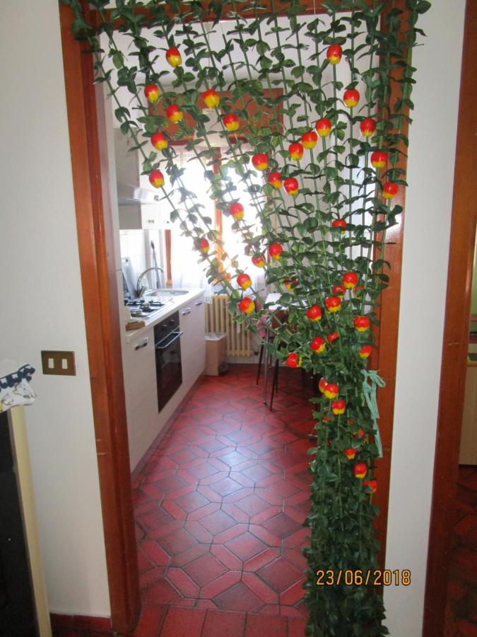 Rainbow House