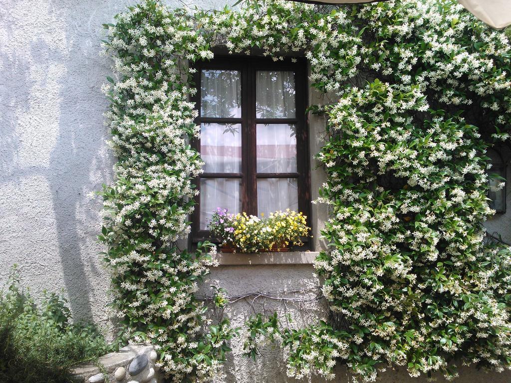 Farm stay Agriturismo Cassinazza