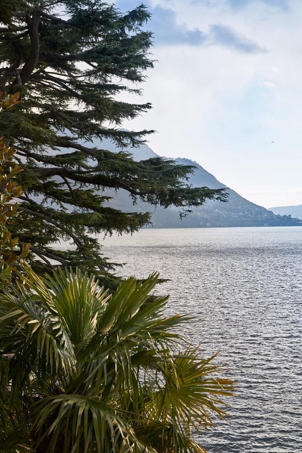 Lario Pognana Lario