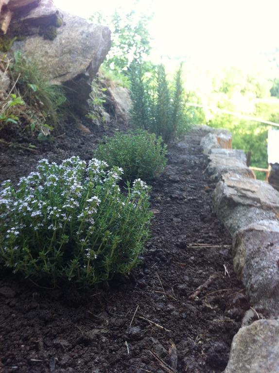 Agriturismo Il Talento Nella Quiete *